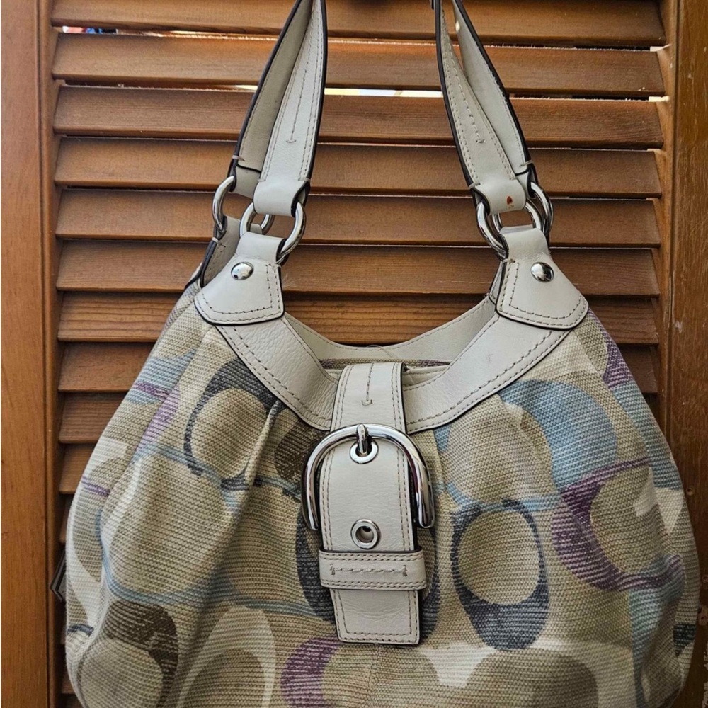 Stylish Beige and Multicolor Women's Bag